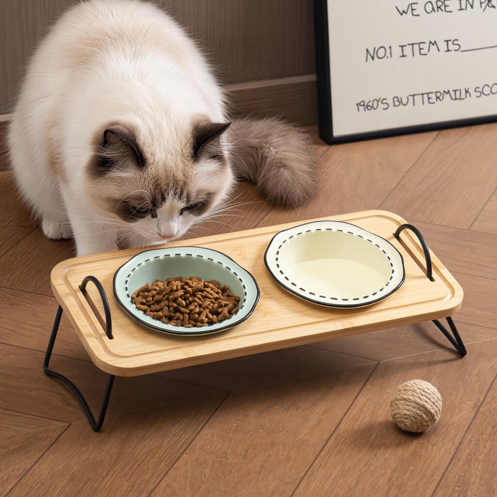 Comic-line ceramic pet bowl with removable bamboo stand